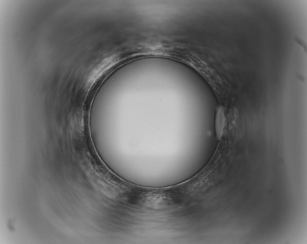 X0000101950344200808011050