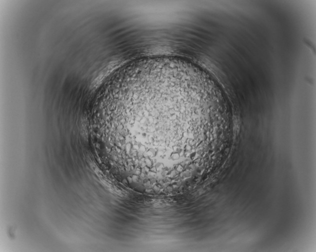 X0000101950345200808011050