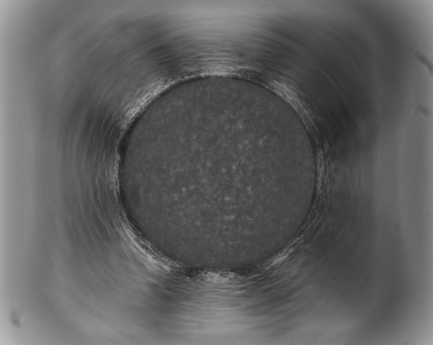 X0000101950346200808011050