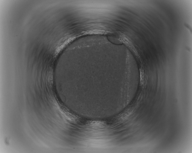 X0000101950348200808011050