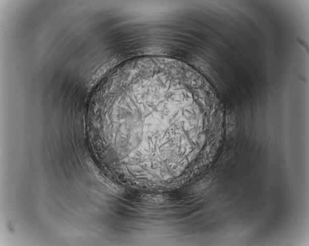 X0000101950349200808011050