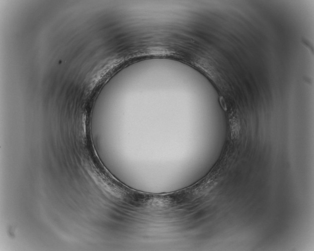 X0000101950350200808011050