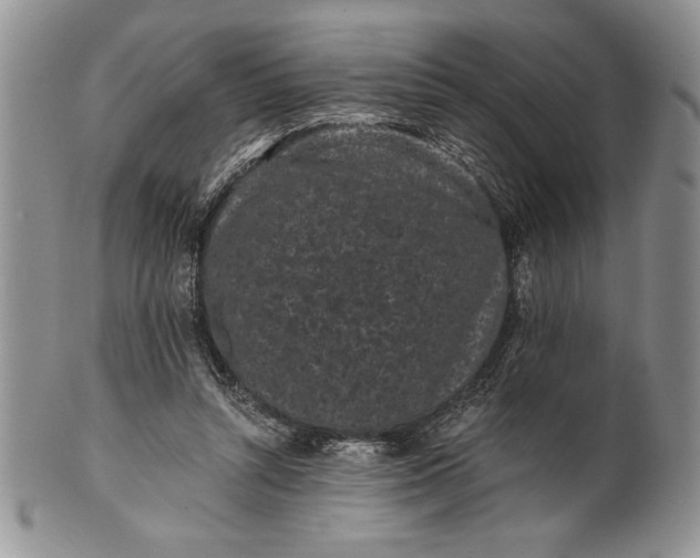 X0000101950352200808011051