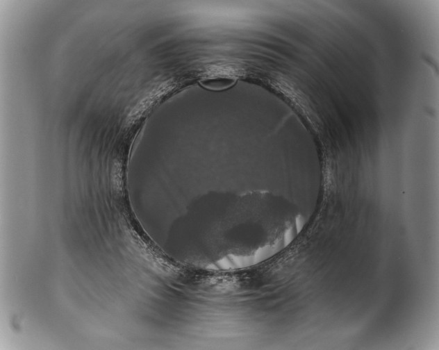 X0000101950353200808011051