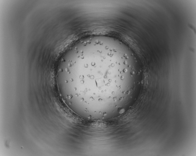 X0000101950354200808011051