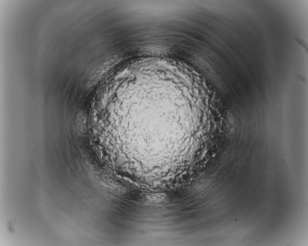 X0000101950355200808011051