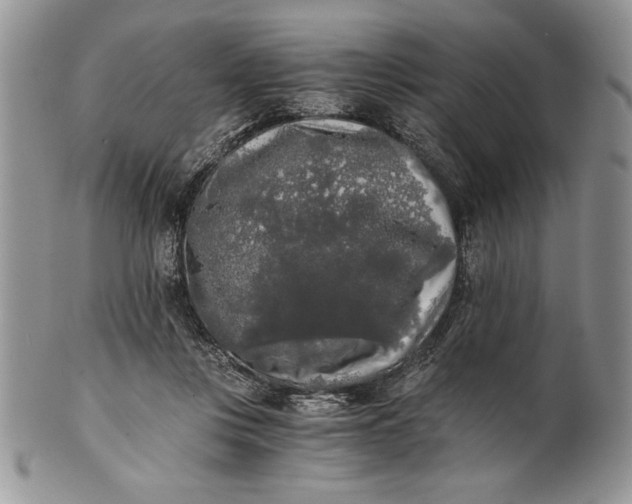 X0000101950359200808011051