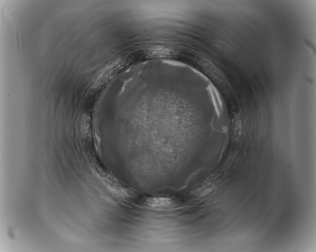 X0000101950361200808011051