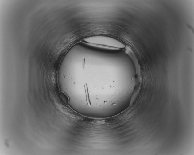 X0000101950362200808011051