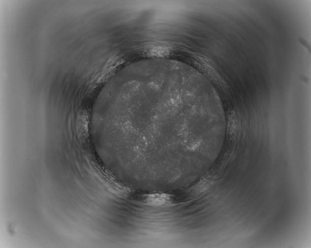 X0000101950363200808011051