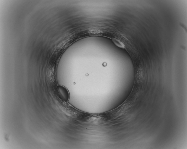 X0000101950364200808011051