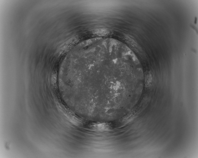 X0000101950365200808011051