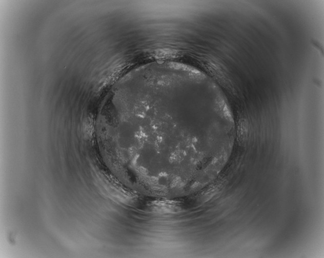 X0000101950367200808011051