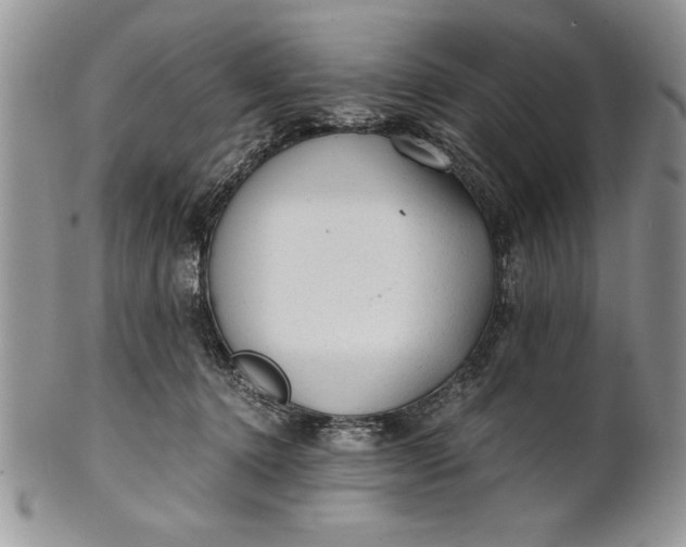 X0000101950368200808011051