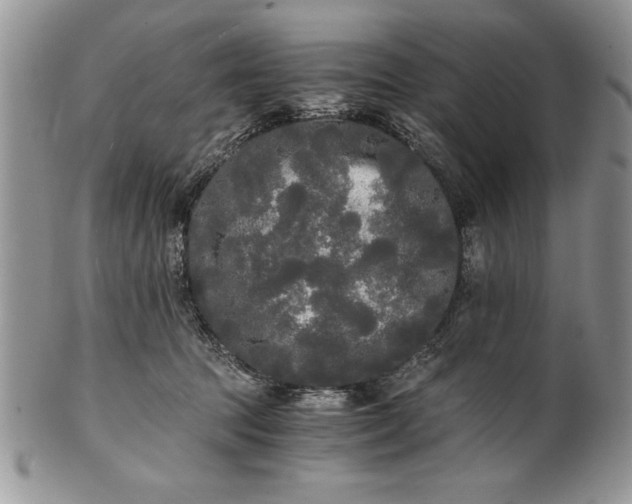 X0000101950369200808011051