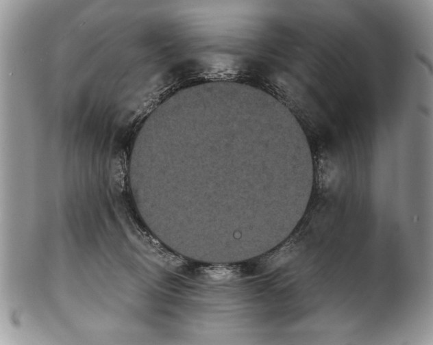 X0000101950370200808011051