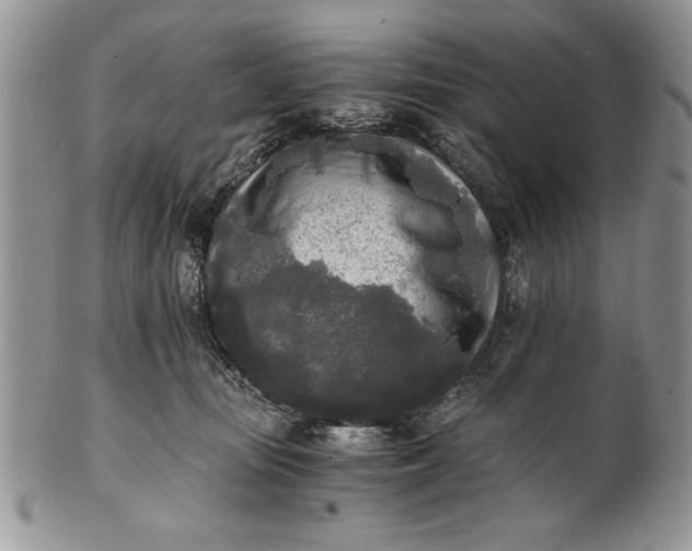 X0000101950371200808011051