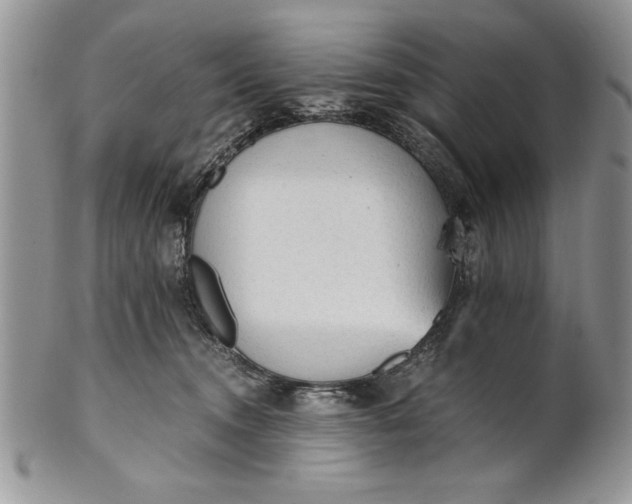 X0000101950372200808011051