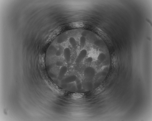 X0000101950373200808011051