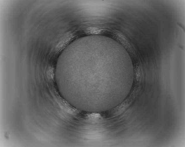 X0000101950374200808011051