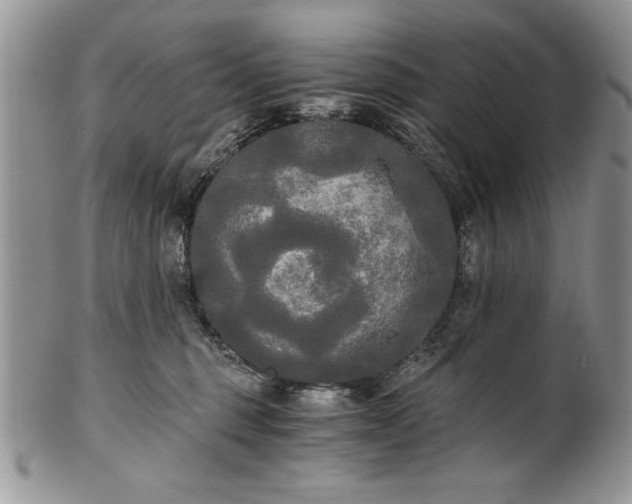 X0000101950375200808011051