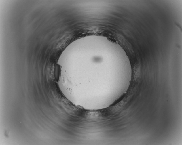 X0000101950376200808011051