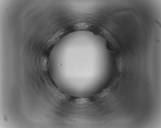 X0000101950378200808011051