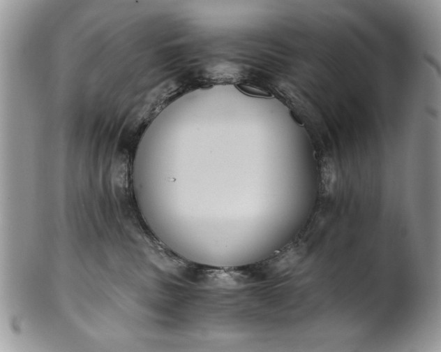 X0000101950379200808011051