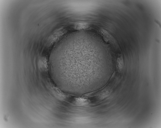 X0000101950380200808011051