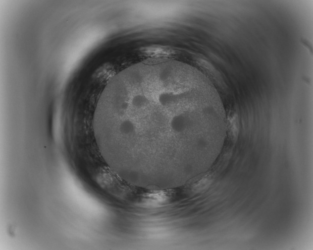 X0000101950381200808011051