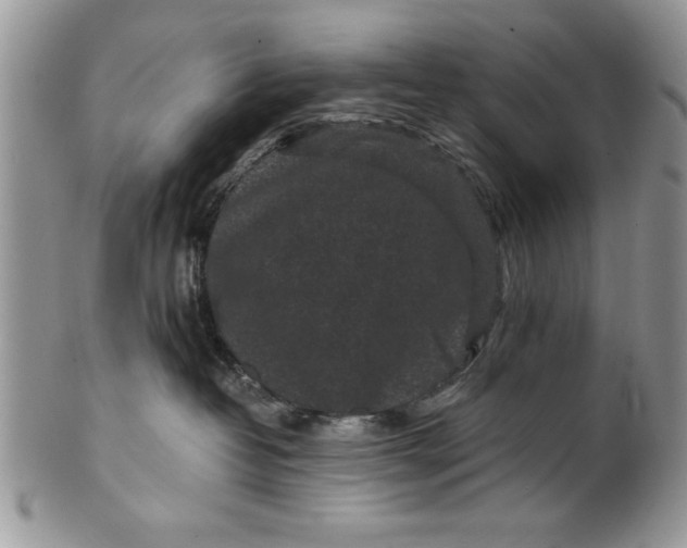 X0000101950382200808011051