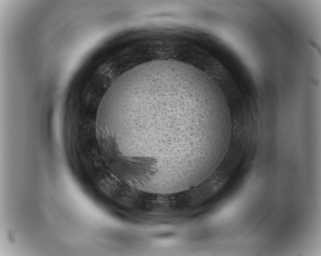 X0000101950383200808011051