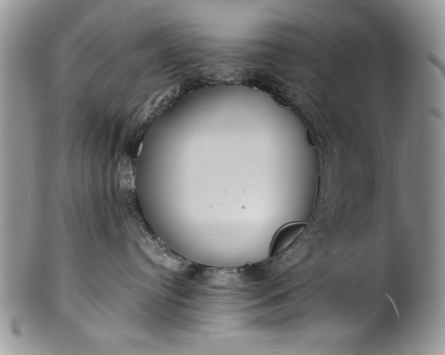 X0000101950384200808011051