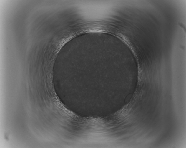 X0000101950385200808011050