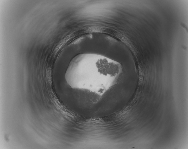 X0000101950386200808011050