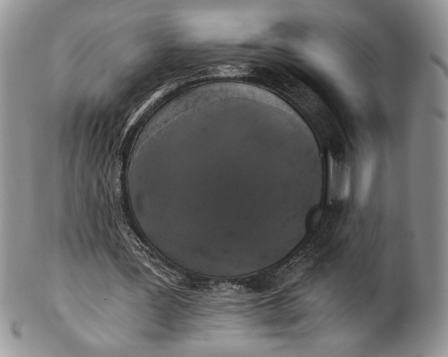 X0000101950387200808011050