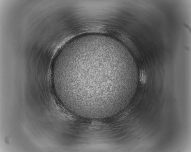 X0000101950388200808011050