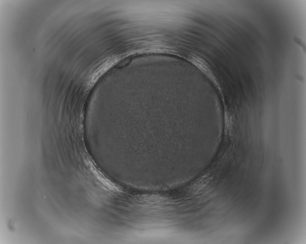 X0000101950389200808011050