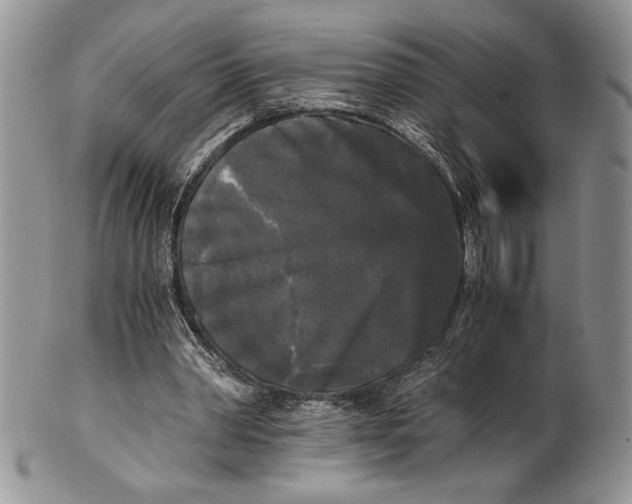 X0000101950390200808011050