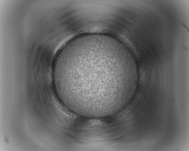 X0000101950392200808011050