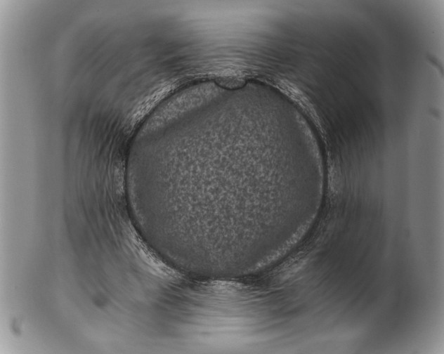 X0000101950393200808011050