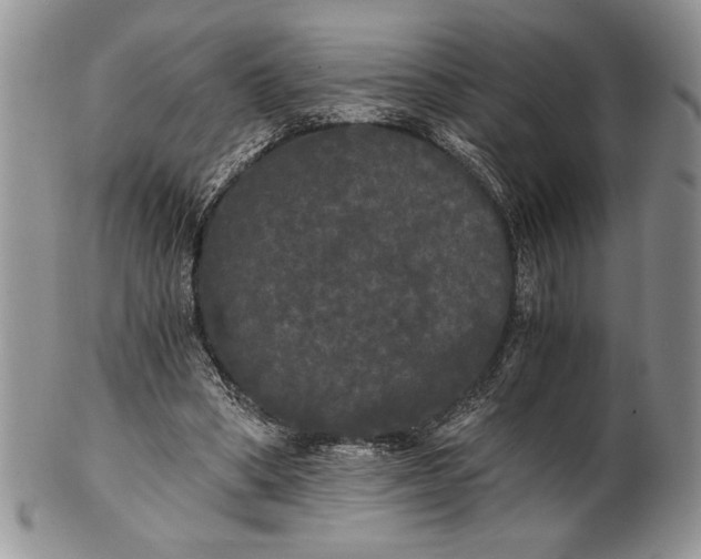 X0000101950394200808011050