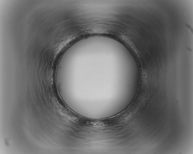 X0000101950395200808011050