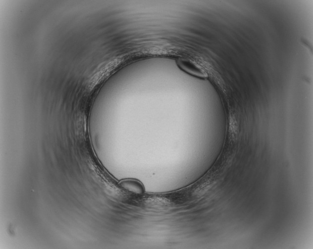 X0000101950397200808011050