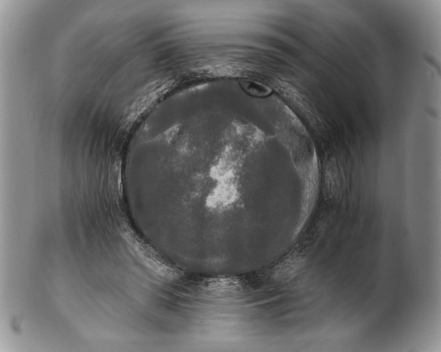 X0000101950398200808011050