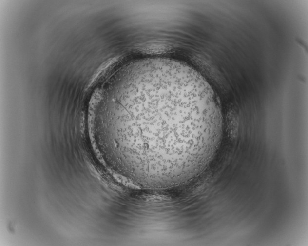 X0000101950400200808011050