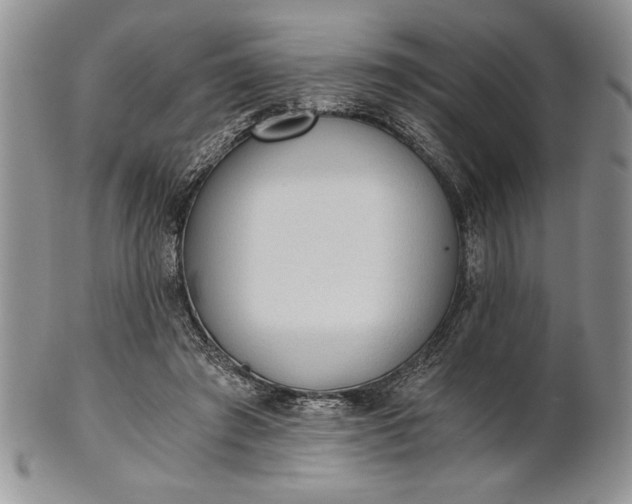 X0000101950401200808011050