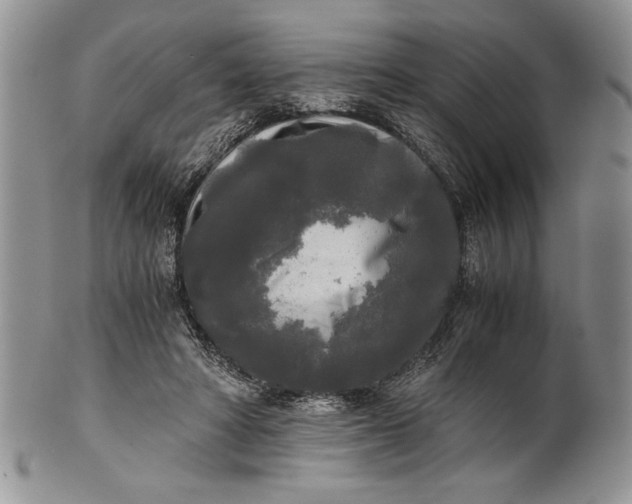 X0000101950402200808011050