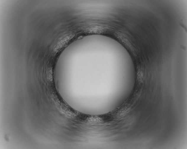 X0000101950403200808011050