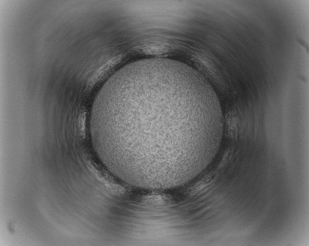 X0000101950404200808011050